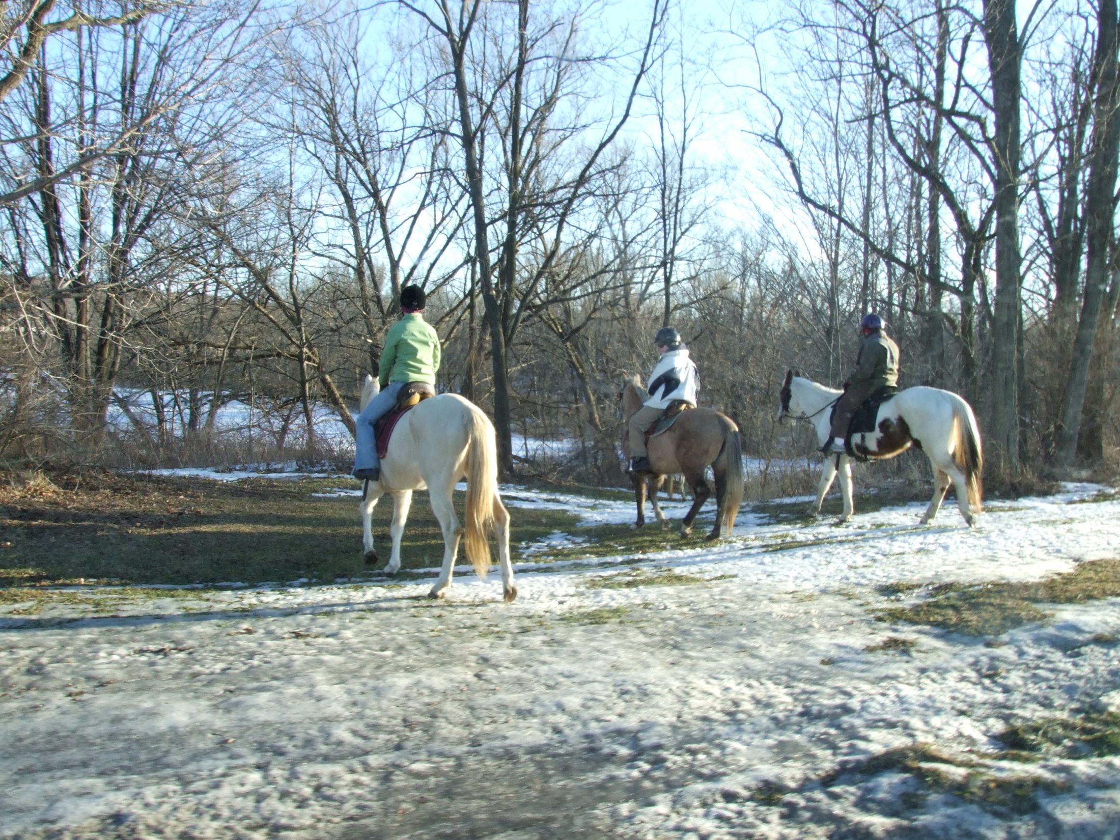 Trail Riding photo from February 8, 2009